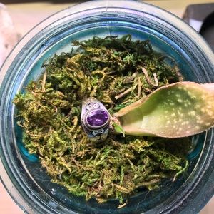 Sterling silver ring with amethyst